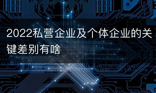 2022私营企业及个体企业的关键差别有啥