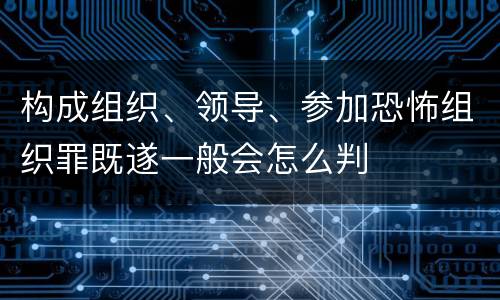构成组织、领导、参加恐怖组织罪既遂一般会怎么判