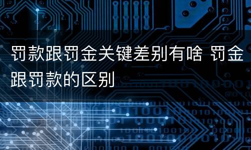 罚款跟罚金关键差别有啥 罚金跟罚款的区别