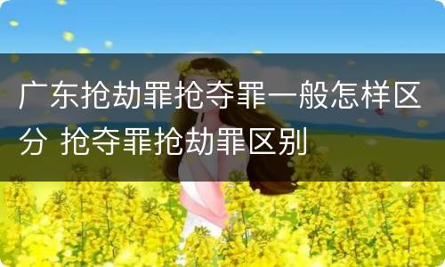 广东抢劫罪抢夺罪一般怎样区分 抢夺罪抢劫罪区别