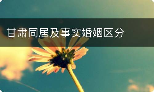 甘肃同居及事实婚姻区分