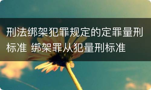 刑法绑架犯罪规定的定罪量刑标准 绑架罪从犯量刑标准