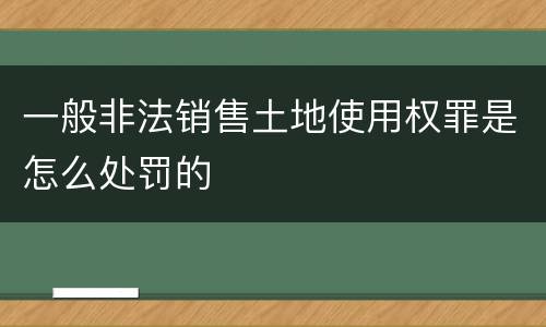 一般非法销售土地使用权罪是怎么处罚的