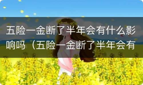 五险一金断了半年会有什么影响吗（五险一金断了半年会有什么影响吗怎么办）