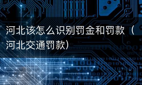 河北该怎么识别罚金和罚款（河北交通罚款）