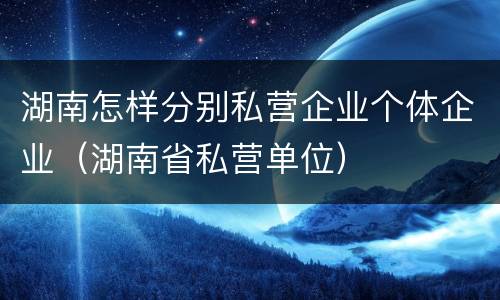 湖南怎样分别私营企业个体企业（湖南省私营单位）