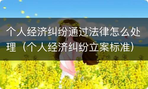 个人经济纠纷通过法律怎么处理（个人经济纠纷立案标准）