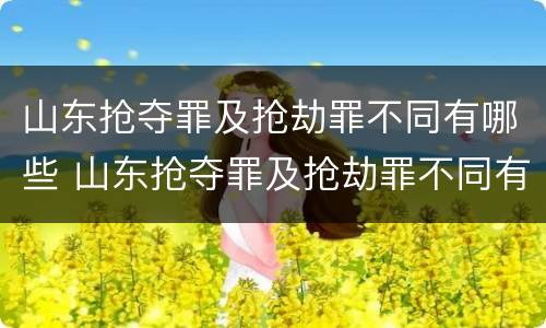 山东抢夺罪及抢劫罪不同有哪些 山东抢夺罪及抢劫罪不同有哪些行为