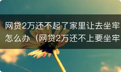 网贷2万还不起了家里让去坐牢怎么办（网贷2万还不上要坐牢吗）
