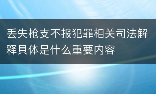 丢失枪支不报犯罪相关司法解释具体是什么重要内容