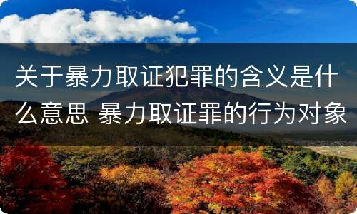 关于暴力取证犯罪的含义是什么意思 暴力取证罪的行为对象是