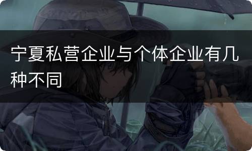 宁夏私营企业与个体企业有几种不同