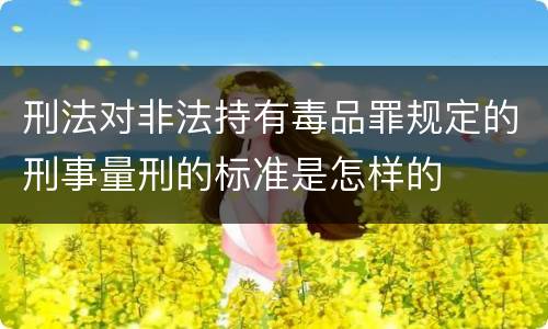 刑法对非法持有毒品罪规定的刑事量刑的标准是怎样的