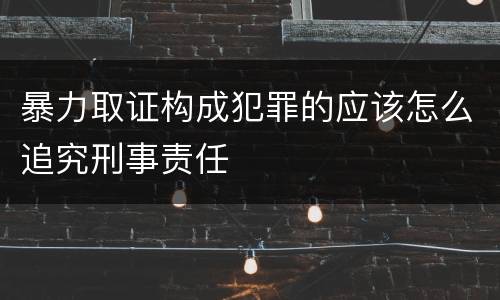 暴力取证构成犯罪的应该怎么追究刑事责任