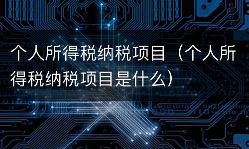 个人所得税纳税项目（个人所得税纳税项目是什么）