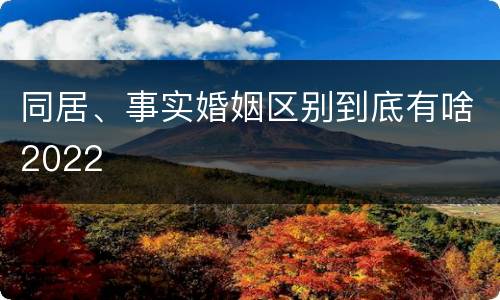 同居、事实婚姻区别到底有啥2022