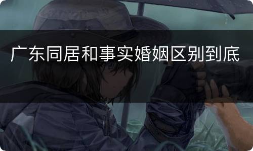 广东同居和事实婚姻区别到底