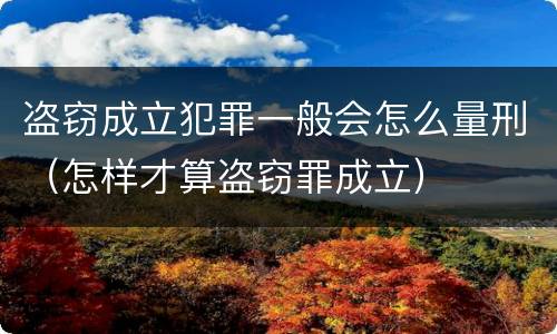 盗窃成立犯罪一般会怎么量刑（怎样才算盗窃罪成立）