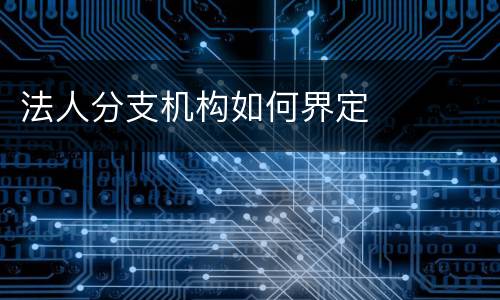 法人分支机构如何界定