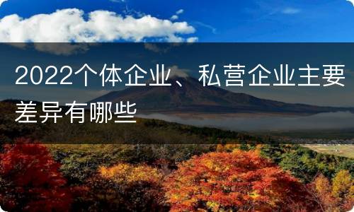 2022个体企业、私营企业主要差异有哪些