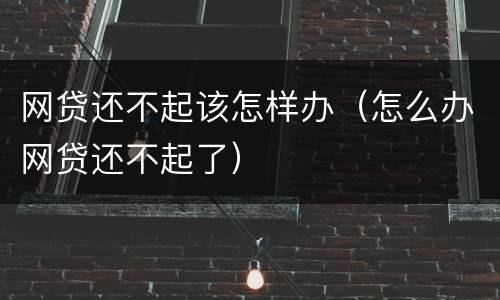 网贷还不起该怎样办（怎么办网贷还不起了）