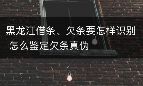 黑龙江借条、欠条要怎样识别 怎么鉴定欠条真伪