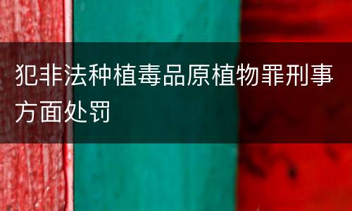犯非法种植毒品原植物罪刑事方面处罚