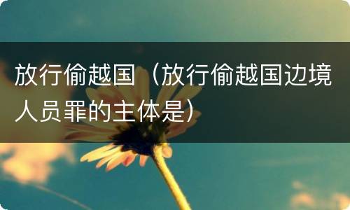 放行偷越国（放行偷越国边境人员罪的主体是）