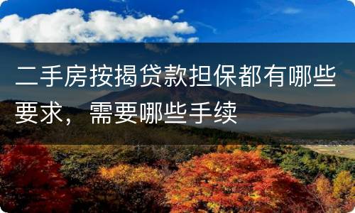 二手房按揭贷款担保都有哪些要求，需要哪些手续
