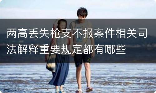 两高丢失枪支不报案件相关司法解释重要规定都有哪些