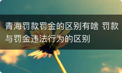 青海罚款罚金的区别有啥 罚款与罚金违法行为的区别