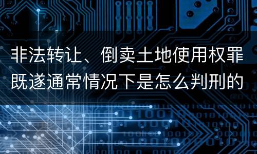 非法转让、倒卖土地使用权罪既遂通常情况下是怎么判刑的