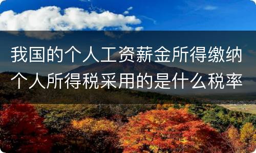 我国的个人工资薪金所得缴纳个人所得税采用的是什么税率