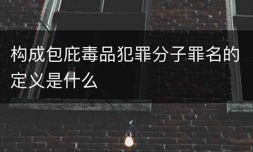 构成包庇毒品犯罪分子罪名的定义是什么