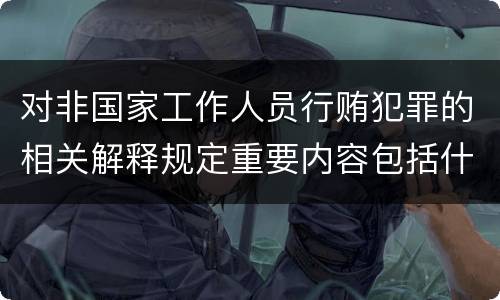 对非国家工作人员行贿犯罪的相关解释规定重要内容包括什么