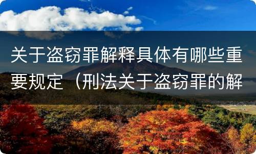 关于盗窃罪解释具体有哪些重要规定（刑法关于盗窃罪的解释）