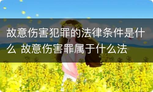 故意伤害犯罪的法律条件是什么 故意伤害罪属于什么法