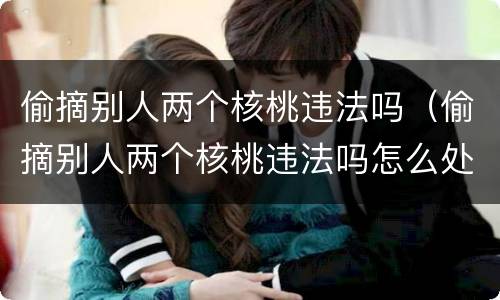 偷摘别人两个核桃违法吗（偷摘别人两个核桃违法吗怎么处理）