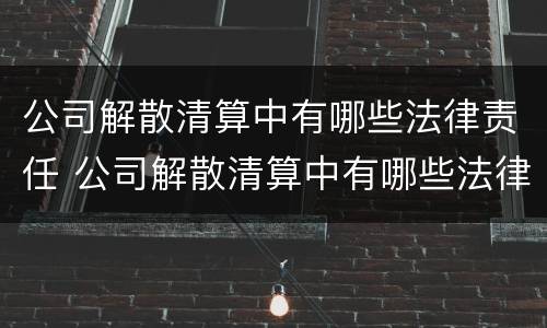 公司解散清算中有哪些法律责任 公司解散清算中有哪些法律责任