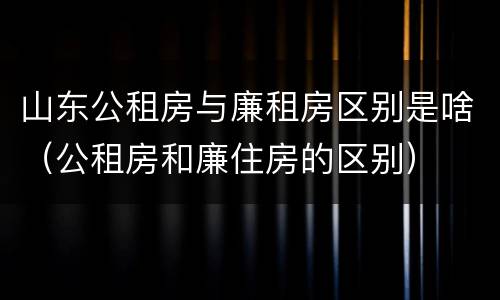 山东公租房与廉租房区别是啥（公租房和廉住房的区别）