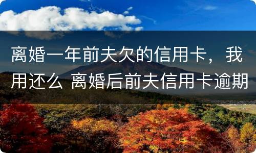 离婚一年前夫欠的信用卡，我用还么 离婚后前夫信用卡逾期不还会不会追究我