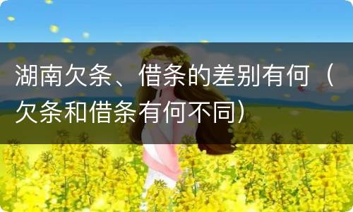 湖南欠条、借条的差别有何（欠条和借条有何不同）