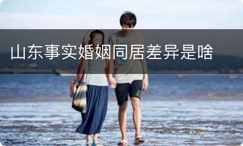 山东事实婚姻同居差异是啥