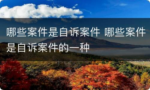 哪些案件是自诉案件 哪些案件是自诉案件的一种