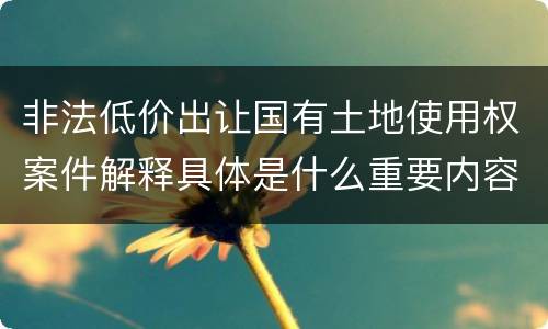 非法低价出让国有土地使用权案件解释具体是什么重要内容
