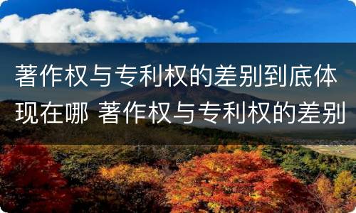 著作权与专利权的差别到底体现在哪 著作权与专利权的差别到底体现在哪些方面