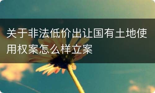 关于非法低价出让国有土地使用权案怎么样立案
