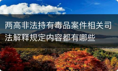 两高非法持有毒品案件相关司法解释规定内容都有哪些