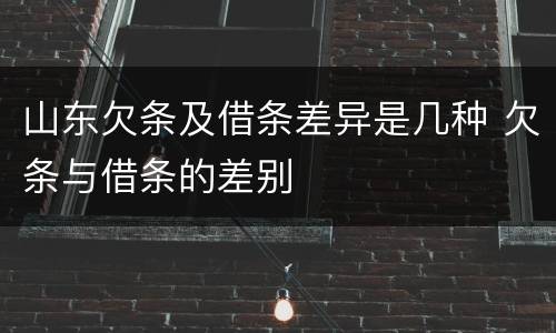 山东欠条及借条差异是几种 欠条与借条的差别
