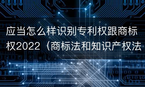 应当怎么样识别专利权跟商标权2022（商标法和知识产权法）